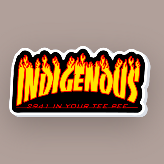 Indigenous Pin